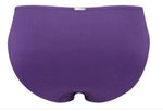 Panache Swimwear UK 12 / Violet Panache Halle Classic Bikini Pants Violet