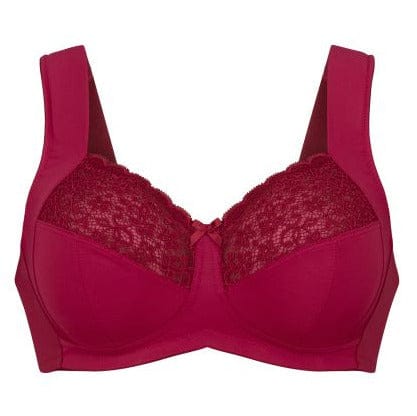Plus size Anita Havanna Deep Red bra with lace detailing on a white background