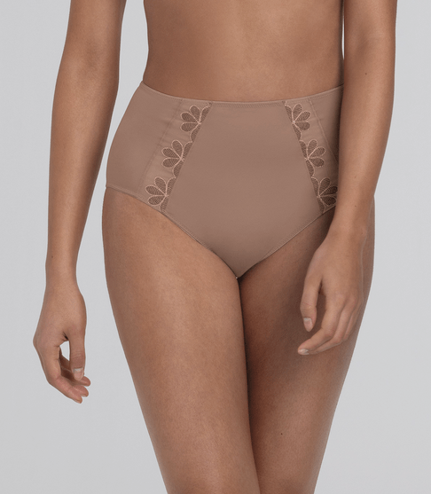 Sophia High Rise Briefs